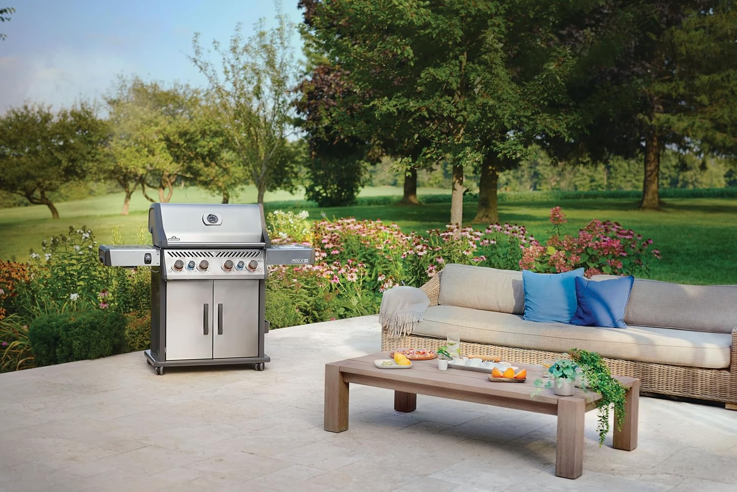 Napoleon Rogue PRO-S 525 Natural Gas Grill with Infrared Side and Rear Burners, Stainless Steel - 6 Burners B0DVM1Y7QT - Image 3